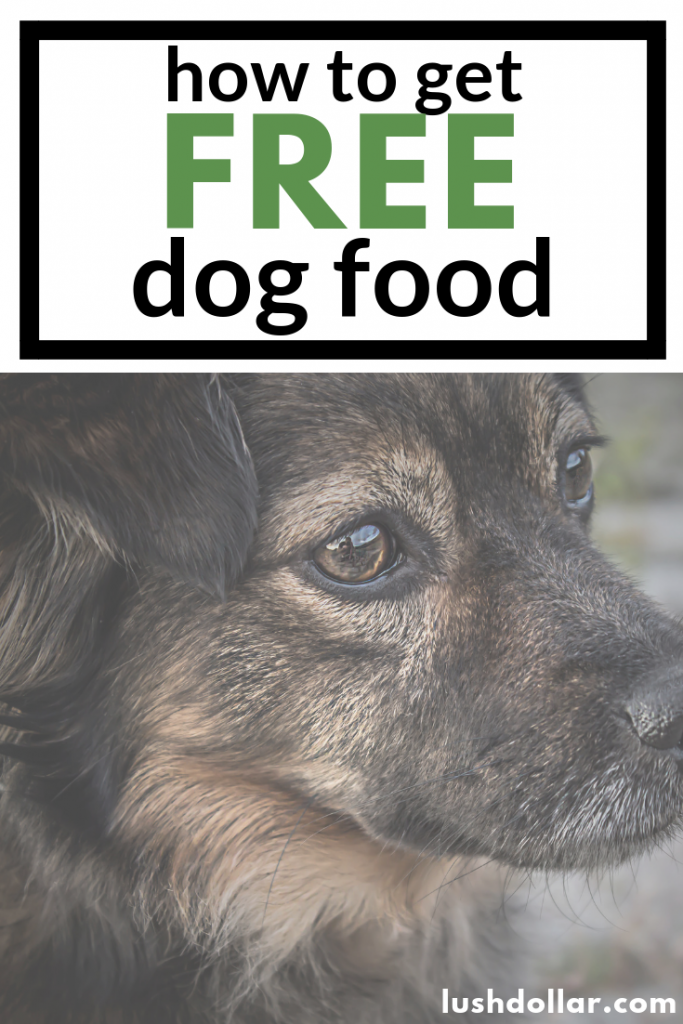 26+ (100) Free Dog Food Samples by Mail